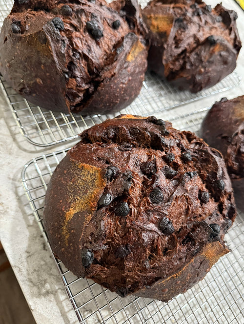Double Choc. Chip Sourdough